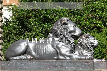 逾期管理费用多少合法 逾期管理费用多少合法