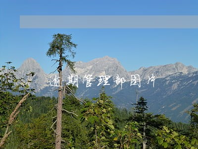 逾期管理部图片 逾期管理部图片