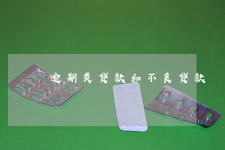 逾期类贷款和不良贷款 逾期类贷款和不良贷款
