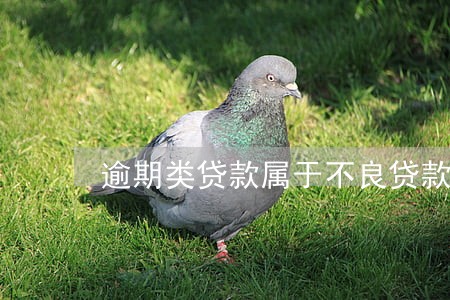 逾期类贷款属于不良贷款吗 逾期类贷款属于不良贷款吗