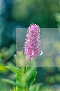 逾期类贷款怎么清收 逾期类贷款怎么清收