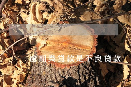 逾期类贷款是不良贷款 逾期类贷款是不良贷款
