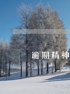 逾期精神损失费赔偿标准 逾期精神损失费赔偿标准