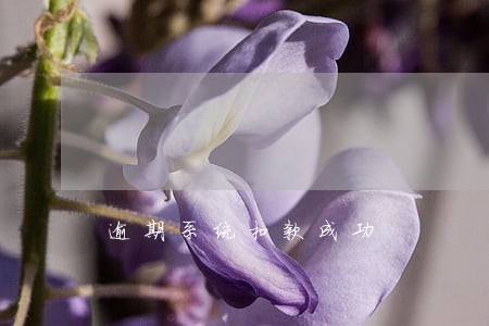 逾期系统扣款成功 逾期系统扣款成功