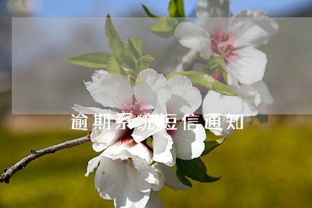 逾期系统短信通知 逾期系统短信通知