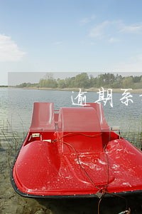 逾期系统自动同意退款 逾期系统自动同意退款