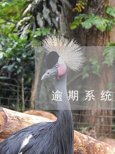 逾期系统自动同意退款协议 逾期系统自动同意退款协议