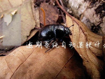 逾期系统自动退款什么意思 逾期系统自动退款什么意思