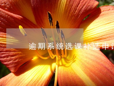 逾期系统选课补选申请 逾期系统选课补选申请