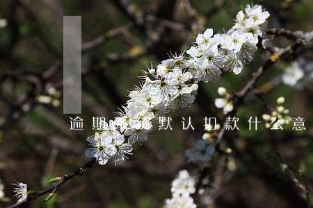 逾期系统默认扣款什么意思 逾期系统默认扣款什么意思