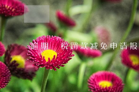 逾期納税罚款减免申请报告