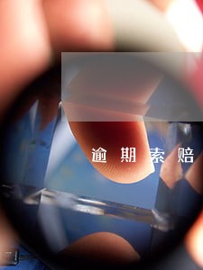 逾期索赔额度 逾期索赔额度