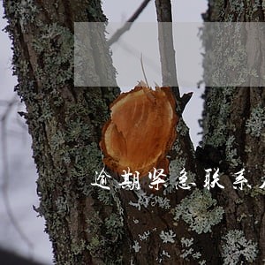 逾期紧急联系人短信