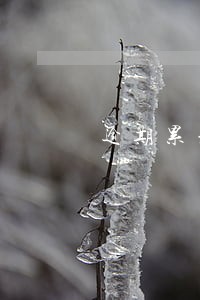 逾期累积超过90天 逾期累积超过90天
