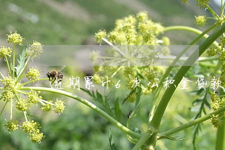 逾期累计6次公积金贷款吗