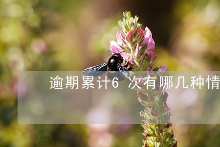 逾期累计6次有哪几种情况