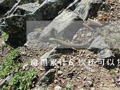 逾期累计6次还可以贷款吗 逾期累计6次还可以贷款吗