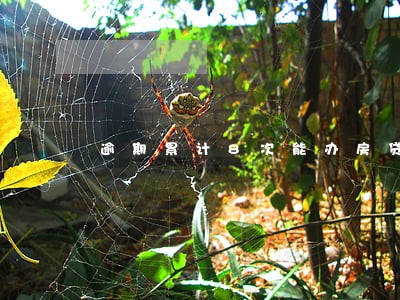 逾期累计8次能办房贷吗 逾期累计8次能办房贷吗