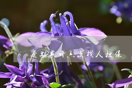 逾期累计六次找人担保 逾期累计六次找人担保