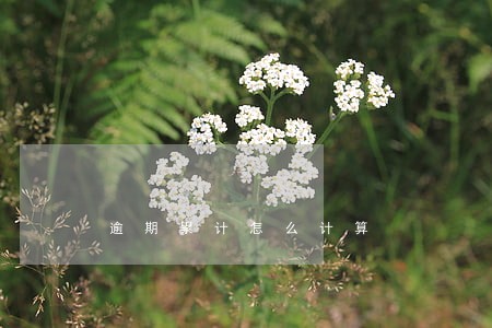 逾期累计怎么计算 逾期累计怎么计算