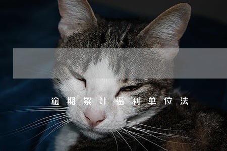 逾期累计福利单位法 逾期累计福利单位法