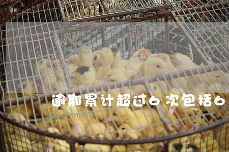逾期累计超过6次包括6次么