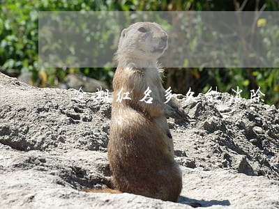逾期红名多久能消除 逾期红名多久能消除