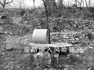 逾期纳入风险账户 逾期纳入风险账户
