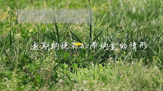 逾期纳税不征滞纳金的情形 逾期纳税不征滞纳金的情形