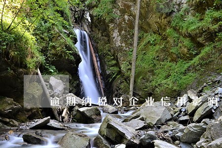 逾期纳税对企业信用影响吗 逾期纳税对企业信用影响吗