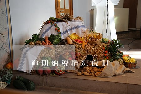 逾期纳税情况说明 逾期纳税情况说明