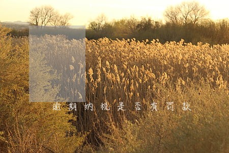 逾期纳税是否有罚款 逾期纳税是否有罚款