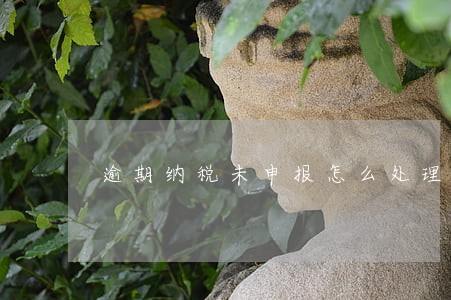 逾期纳税未申报怎么处理 逾期纳税未申报怎么处理