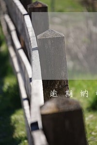 逾期纳税滞纳金 逾期纳税滞纳金