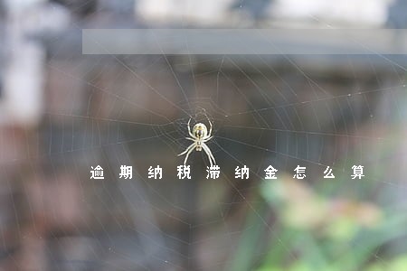 逾期纳税滞纳金怎么算 逾期纳税滞纳金怎么算