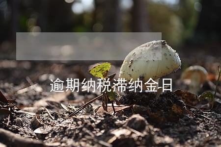 逾期纳税滞纳金日 逾期纳税滞纳金日
