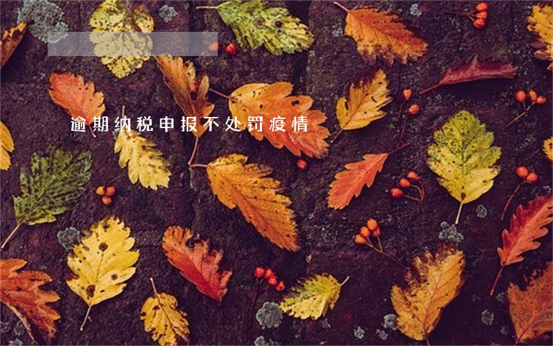 逾期纳税申报不处罚疫情 逾期纳税申报不处罚疫情