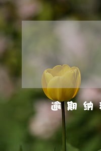 逾期纳税申报会产生的税务后果 逾期纳税申报会产生的税务后果