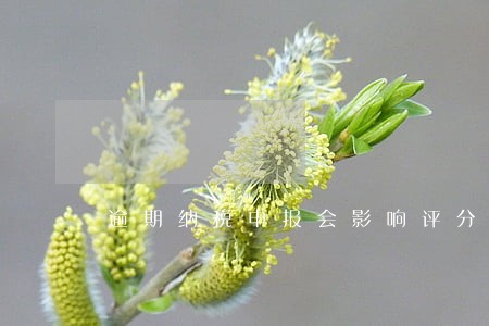 逾期纳税申报会影响评分多少年 逾期纳税申报会影响评分多少年