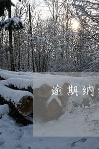 逾期纳税申报后果 逾期纳税申报后果