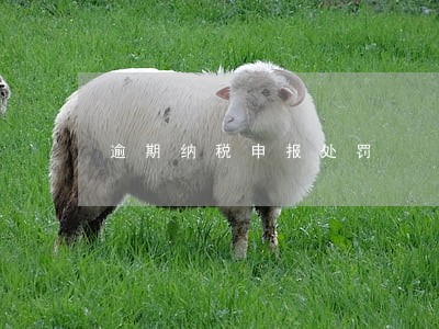 逾期纳税申报处罚 逾期纳税申报处罚