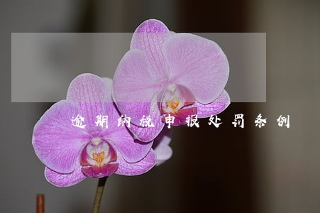 逾期纳税申报处罚条例 逾期纳税申报处罚条例