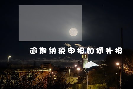 逾期纳税申报如何补报