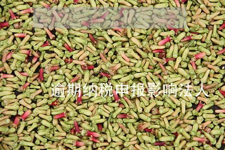 逾期纳税申报影响法人 逾期纳税申报影响法人