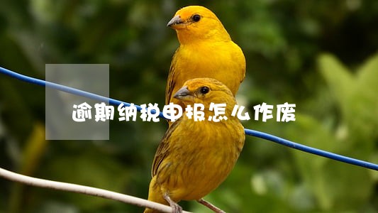 逾期纳税申报怎么作废 逾期纳税申报怎么作废