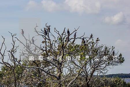 逾期纳税申报怎么处罚 逾期纳税申报怎么处罚