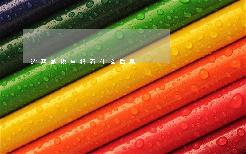 逾期纳税申报有什么后果 逾期纳税申报有什么后果