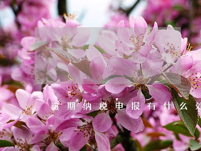 逾期纳税申报有什么处罚 逾期纳税申报有什么处罚