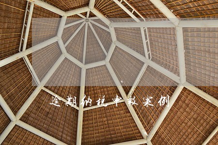 逾期纳税申报案例 逾期纳税申报案例
