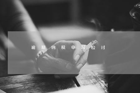 逾期纳税申报检讨 逾期纳税申报检讨